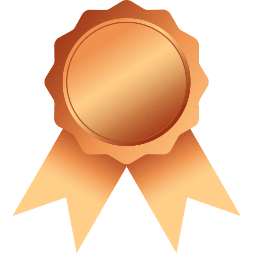Ícone Bronze
